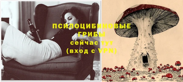 МДПВ Кукмор
