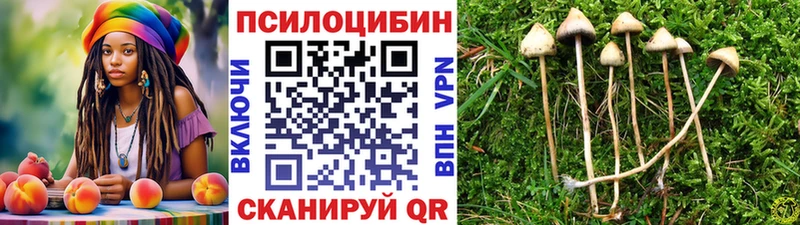 Галлюциногенные грибы Psilocybine cubensis Чаплыгин