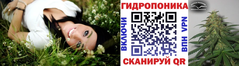 блэк спрут рабочий сайт  Чаплыгин  darknet как зайти  Канабис AK-47 